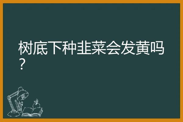 树底下种韭菜会发黄吗？