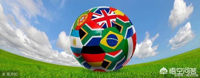 假如中国要申办2030年世界杯，你认为国内、国际支持吗？