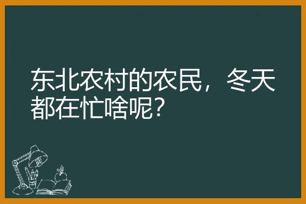 东北农村的农民，冬天都在忙啥呢？