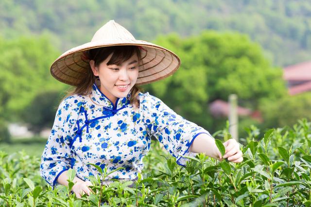 加拿大就在美国嘴边，为何美国没有吞并加拿大？