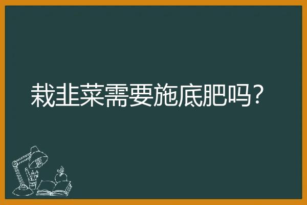 栽韭菜需要施底肥吗？