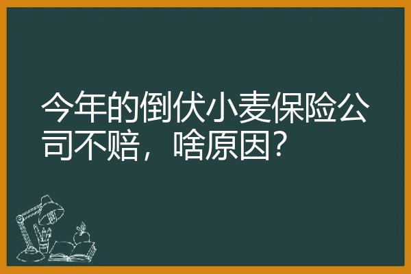 今年的倒伏小麦保险公司不赔，啥原因？