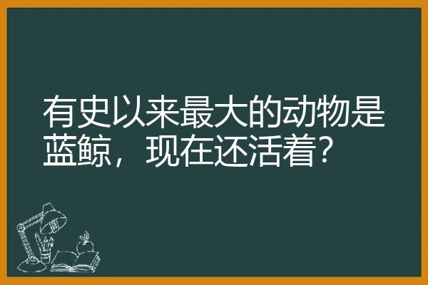 有史以来最大的动物是蓝鲸，现在还活着？