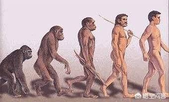 为什么科学家找不到进化中的人类？