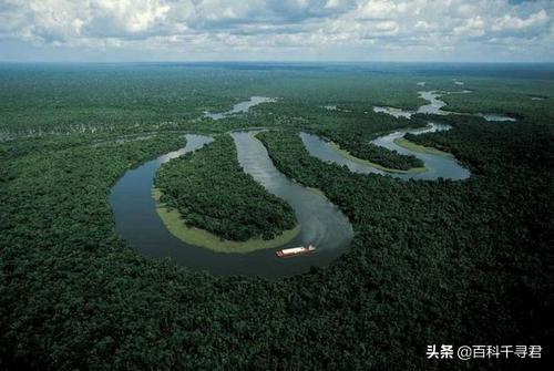 如果亚马逊雨林消失了会怎样？