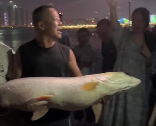 长沙钓友在湘江里钓起的鱤鱼也是入侵物种吗？