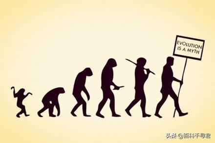 为什么中国人比西方人更普遍相信达尔文的进化论？