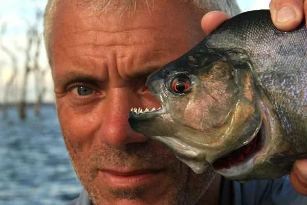 亚马逊河流里的"吸血鬼鱼"是什么鱼？比食人鱼还可怕吗？