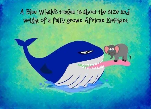 深海中有可能存在比鲸鱼更大的超巨型生物吗？