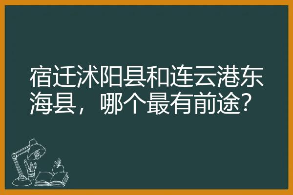 宿迁沭阳县和连云港东海县，哪个最有前途？